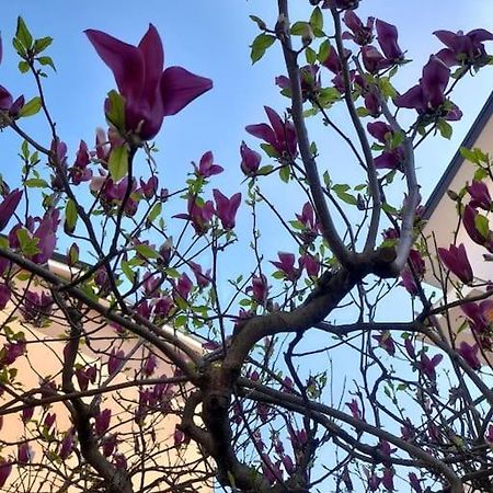 Apartmán Casa Magnolia, Tranquilla E Centrale Nichelino Exteriér fotografie